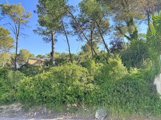 Terreny residencial a Olivella