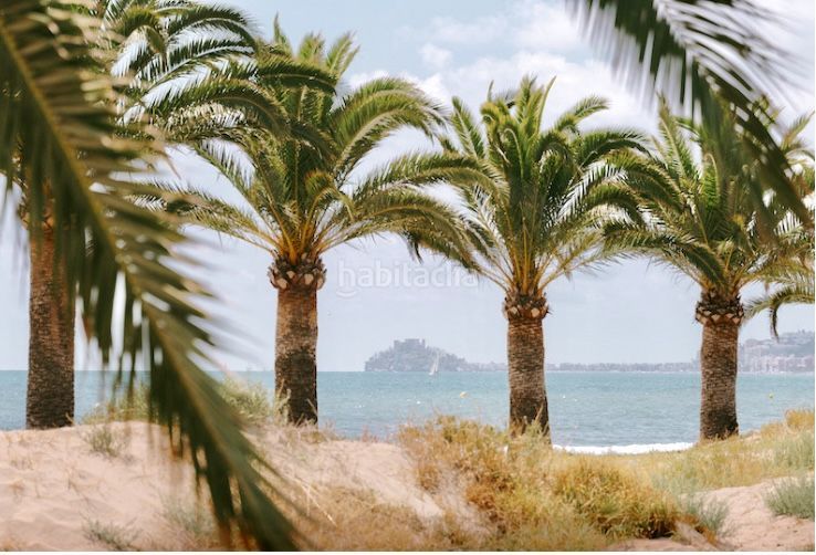 Foto 87734fc0-acc4-45c7-8dc3-8209c7b95425. Edificio en Papa Luna - Platja del Gurugú Benicarló