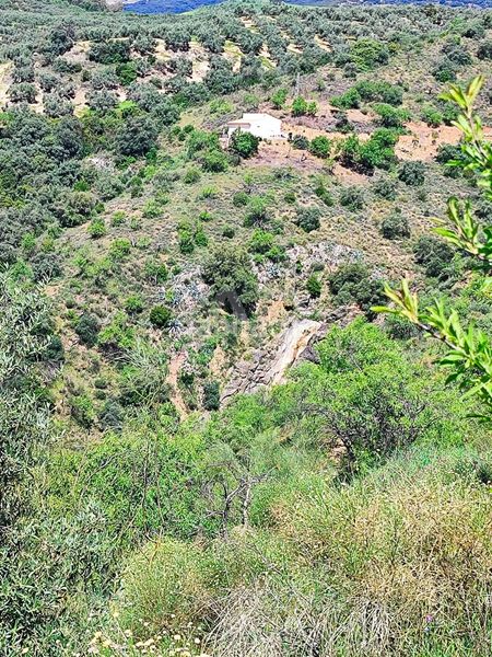 Foto 2a06516b-b759-48f5-8fbd-925984055b5e. Finca rústica en Colmenar