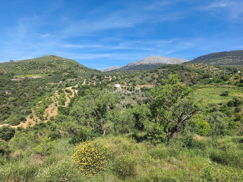 Foto 2cd92bcd-4bfd-4dfb-b7a9-3b7a815c75fd. Finca rústica en Colmenar