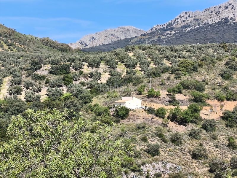 Foto 3a0fa543-ce45-4c7c-9c11-33a78dcbcef4. Finca rústica en Colmenar