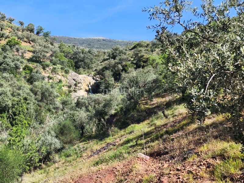 Foto 470ed336-801f-4003-a3ab-bbbfd0bea207. Finca rústica en Colmenar