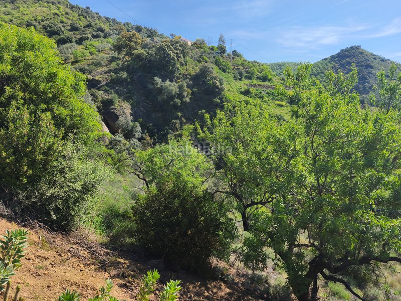 Foto 88b53149-cda0-42b2-b7fb-5b956da25d93. Finca rústica en Colmenar