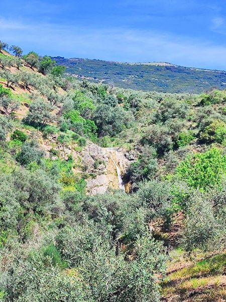 Foto f248b31e-fb3c-4c69-9aa3-bdeabf1dc2c2. Finca rústica en Colmenar