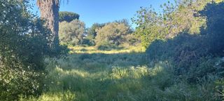 Terreny residencial a Los Franceses - La Vega