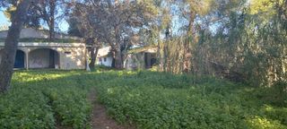 Residential Plot in Los Franceses - La Vega