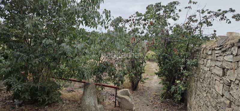 Foto 0f818d66-5f27-4f5b-acbe-bdf8367f5fcd. Terreny residencial a Tàrrega