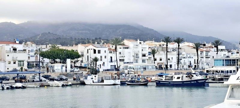 Foto 522b90d8-f4fc-40f9-8ae6-b8c828f3e189. Dúplex en Alcanar