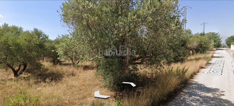 Foto 993913aa-b88c-4a42-b08d-b1d6f55a347e. Finca rústica a Migjorn Reus