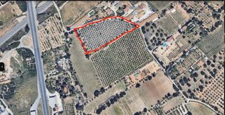 Rural plot in Migjorn