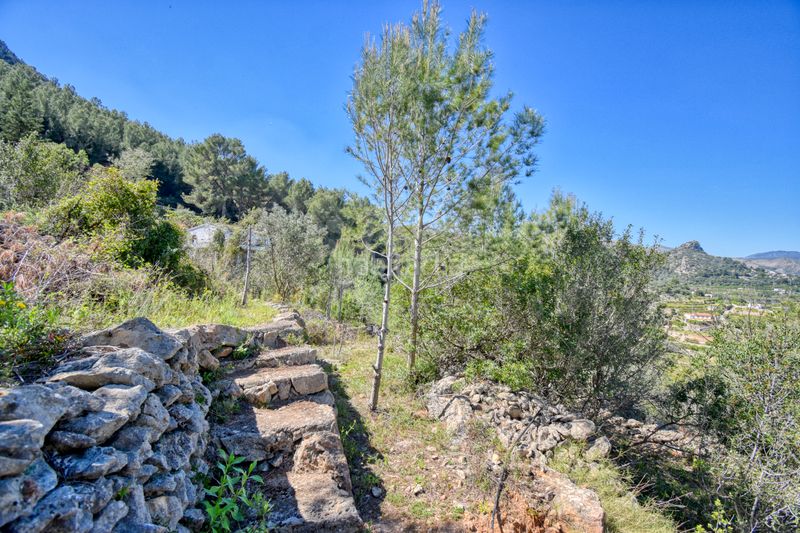 Foto 63ab6b67-f7a6-4e8a-ba05-6558da06026e. Finca rústica a Pego