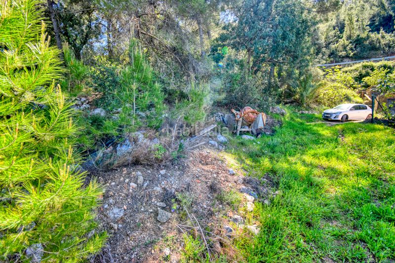 Foto b00ca8ce-6525-42f9-96a8-4255ee63bb61. Finca rústica a Pego