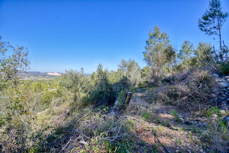 Foto e0e24942-661a-41db-8426-ce40ce0ee81c. Finca rústica a Pego