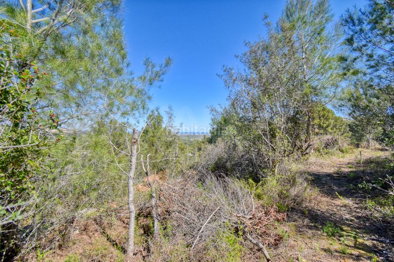 Foto ecfdb255-5826-4987-bc47-b4edbb001110. Finca rústica a Pego