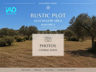 Rural plot in Llucmajor Interior
