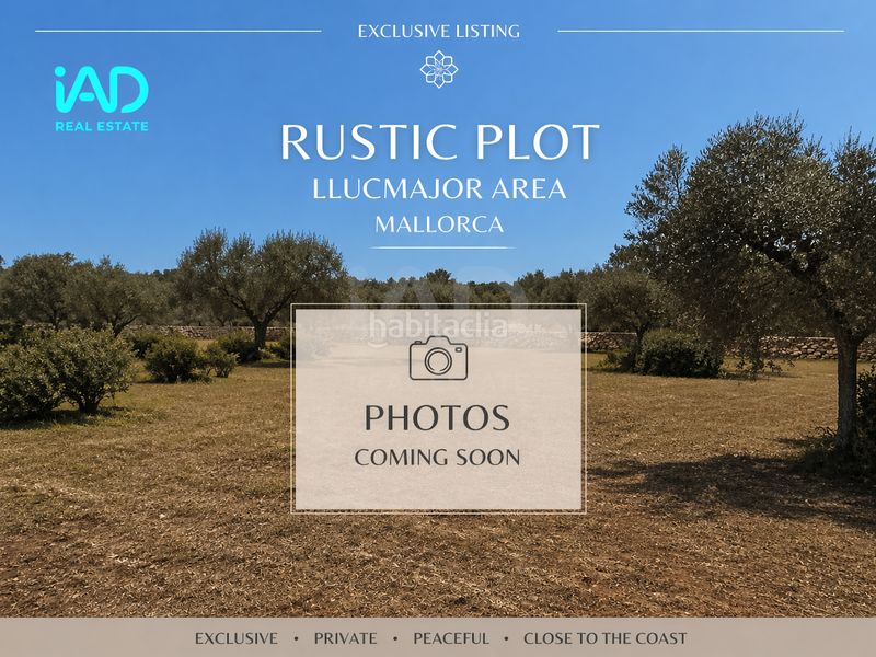 Foto f48acb13-0369-41fe-899f-c09ab41bf557. Finca rústica a Llucmajor interior Llucmajor