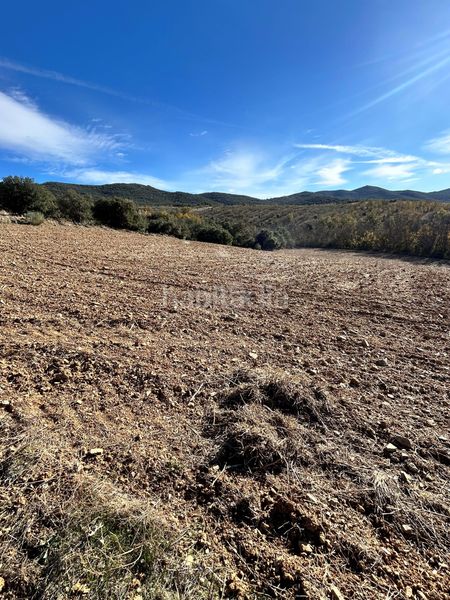 Foto fd63270e-55b3-4882-b702-d8a3694dc19f. Finca rústica a Encinacorba