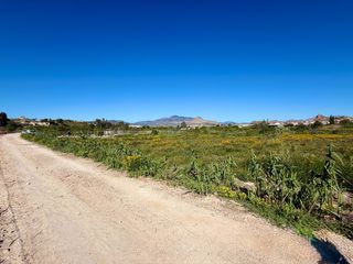 Finca rústica a Archena