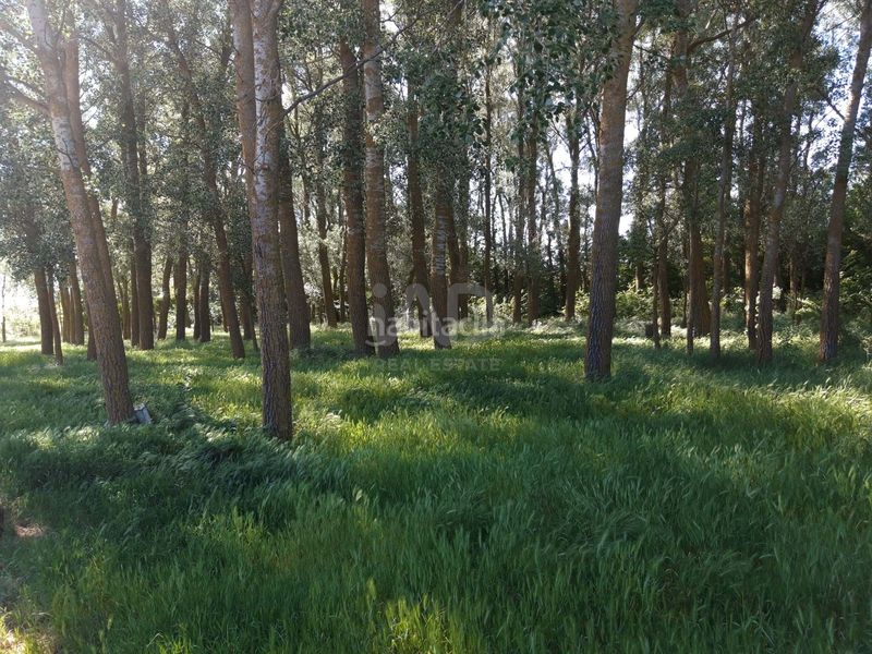 Foto 581d70b4-d939-4bf7-bfba-1b35bbd61b00. Finca rústica a Aguilar de Campos