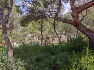 Residential Plot in Paichi