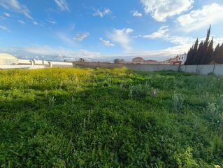 Terreny residencial a Cortijo de Maza - Finca Monsalvez - El Olivar