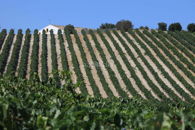 Foto 5cd023ae-8bd4-4b55-83d9-d0f8780995e0. Finca rústica a Santiago - Coronación Jerez de la Frontera