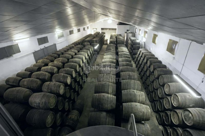 Foto c45ba392-6360-4d03-9c29-40e7e5c0045e. Finca rústica a Santiago - Coronación Jerez de la Frontera