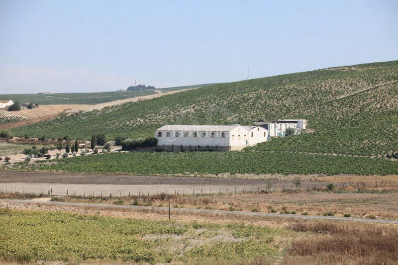 Foto f8451c25-5413-4b01-a92e-1e033c758e9d. Finca rústica a Santiago - Coronación Jerez de la Frontera