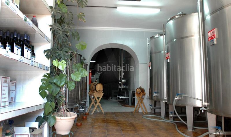 Foto 12a7ae51-ff8e-4457-a892-bf7dbc78252c. Finca rústica a Santiago - Coronación Jerez de la Frontera