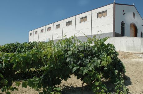 Foto 7702b6e6-d9c5-4a1d-b8c9-faf90de482e2. Finca rústica a Santiago - Coronación Jerez de la Frontera