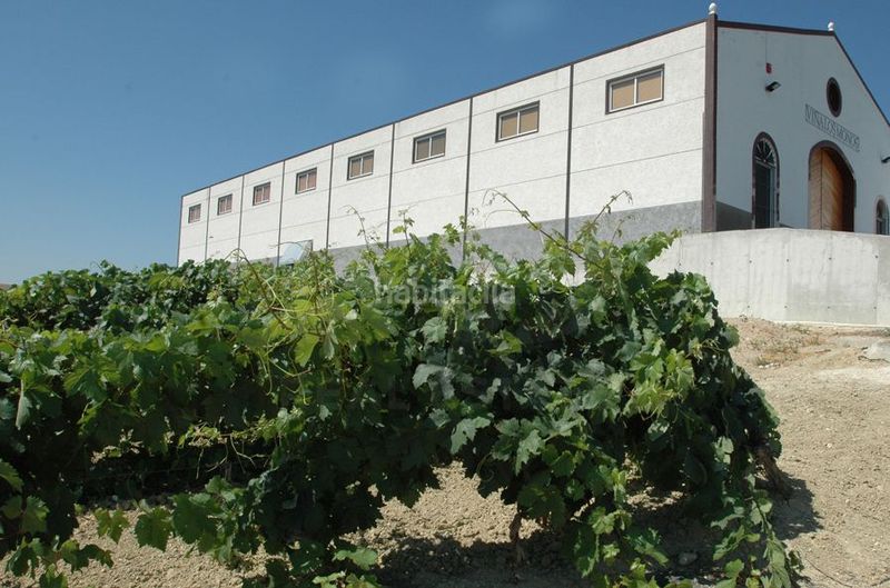 Foto 84335d43-e913-4106-8b5a-b9ea65381fe7. Finca rústica a Santiago - Coronación Jerez de la Frontera