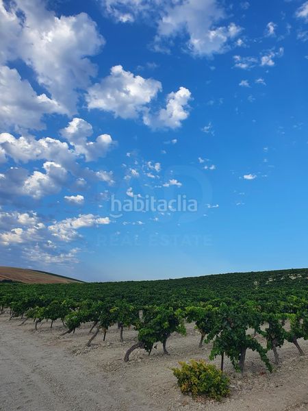 Foto 88fa4067-80cf-4f3a-a913-8615dda06b64. Finca rústica a Santiago - Coronación Jerez de la Frontera