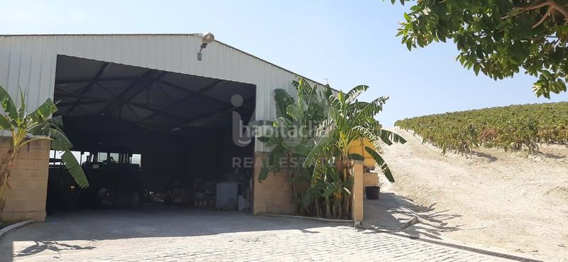 Foto a0dcaabe-64f2-43e5-9f38-3c4925cd218e. Finca rústica a Santiago - Coronación Jerez de la Frontera