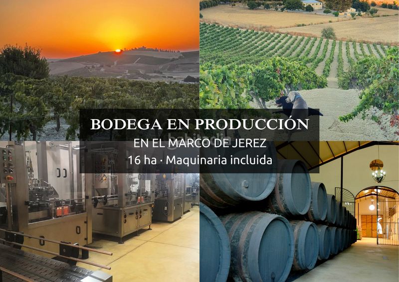 Foto b02bbc81-c667-46f4-a0cb-8a4920b9af31. Finca rústica a Santiago - Coronación Jerez de la Frontera
