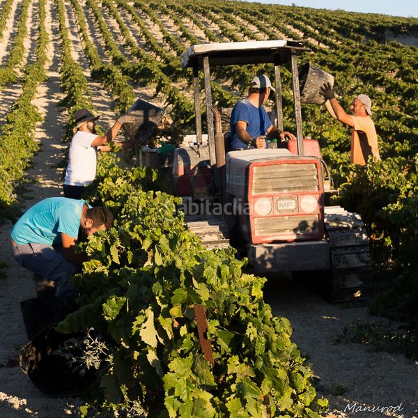Foto c6d000d9-3e85-4240-b544-2132516fac03. Finca rústica a Santiago - Coronación Jerez de la Frontera