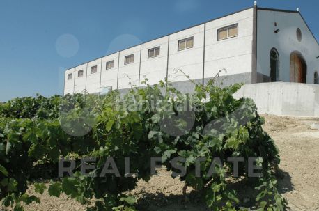 Foto d65f9e4a-ddd9-408e-83cd-a5a61945ba9a. Finca rústica a Santiago - Coronación Jerez de la Frontera