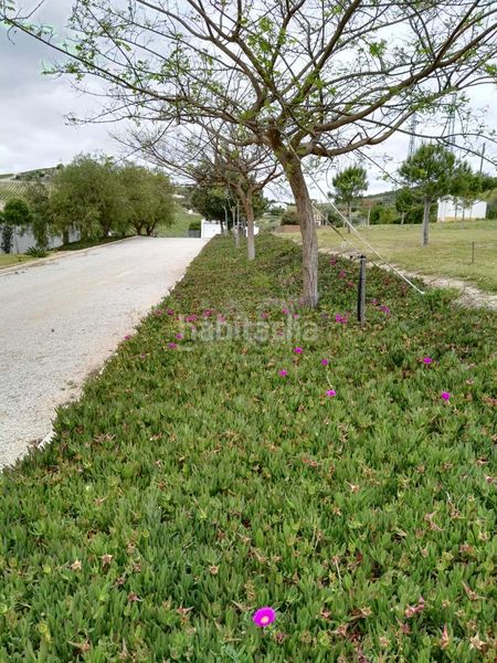 Foto 0f2c77d4-41d6-433f-8699-86ae97138c9e. Finca rústica a Arcos de la Frontera
