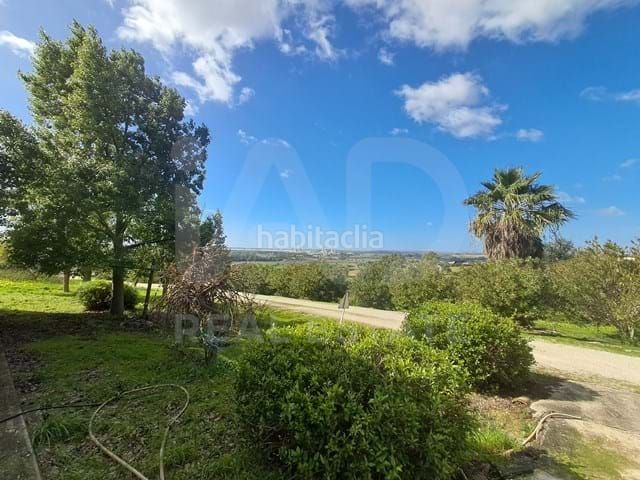 Foto ce3caddc-340d-4fb3-b5e2-722f685fd320. Finca rústica a Arcos de la Frontera