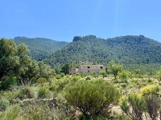 Fondo rustico in Cieza