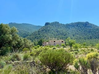 Finca rústica a Cieza
