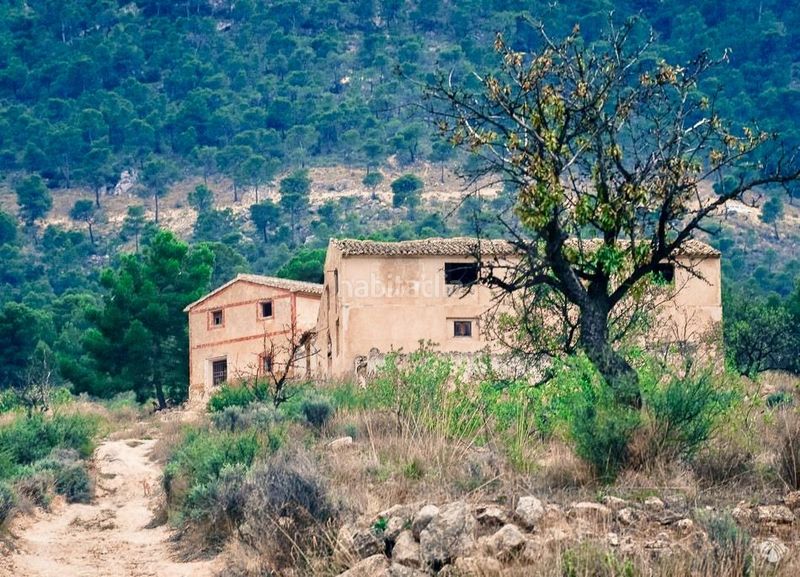 Foto fdaef1b2-789f-4fa9-9892-b807df3d7e82. Finca rústica a Cieza