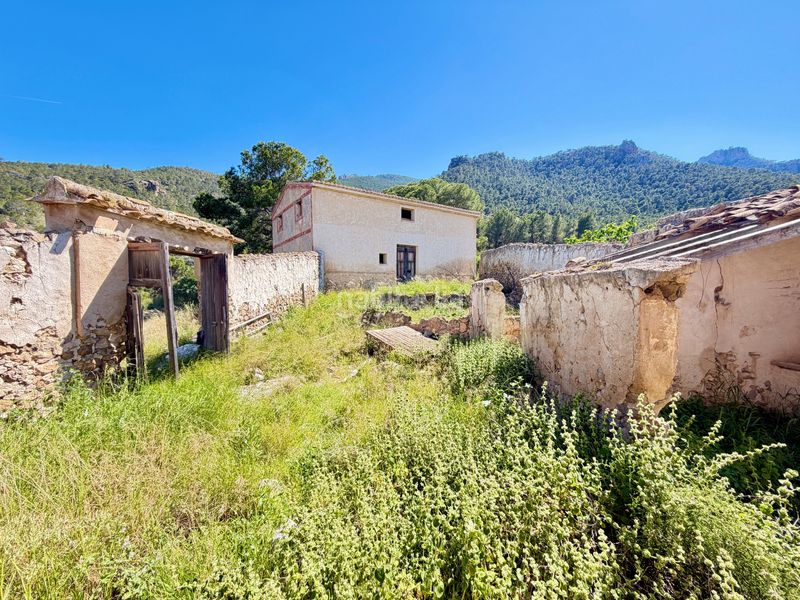 Foto b10af8cb-f0f1-4315-ba0b-6722bc8d99f9. Finca rústica en Cieza