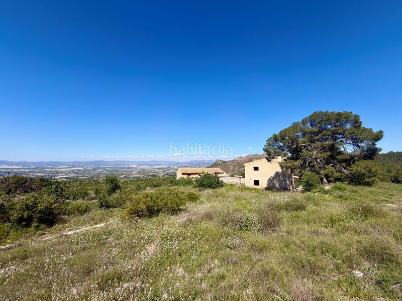 Foto bea546c2-ac6d-4180-bc42-aa0b5c04c9da. Finca rústica en Cieza