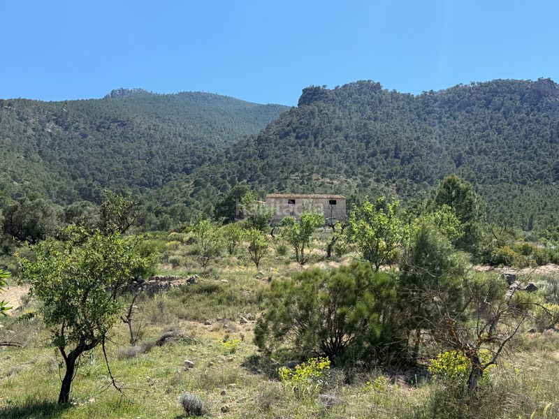 Foto f5bdcb41-5cc6-4086-86aa-9737e8c76494. Finca rústica en Cieza