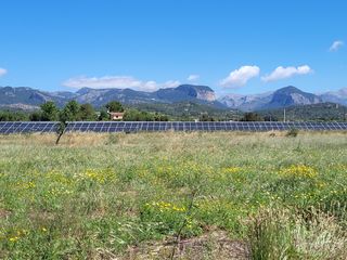 Rural plot in Santa María del Camí