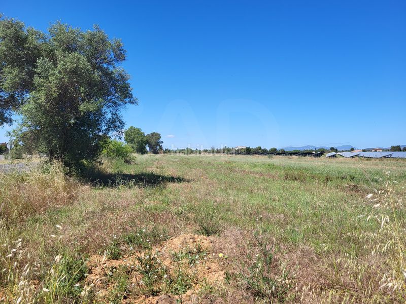 Foto 0e3aee60-e664-4f20-9f13-b699b635fc42. Finca rústica a Santa María del Camí