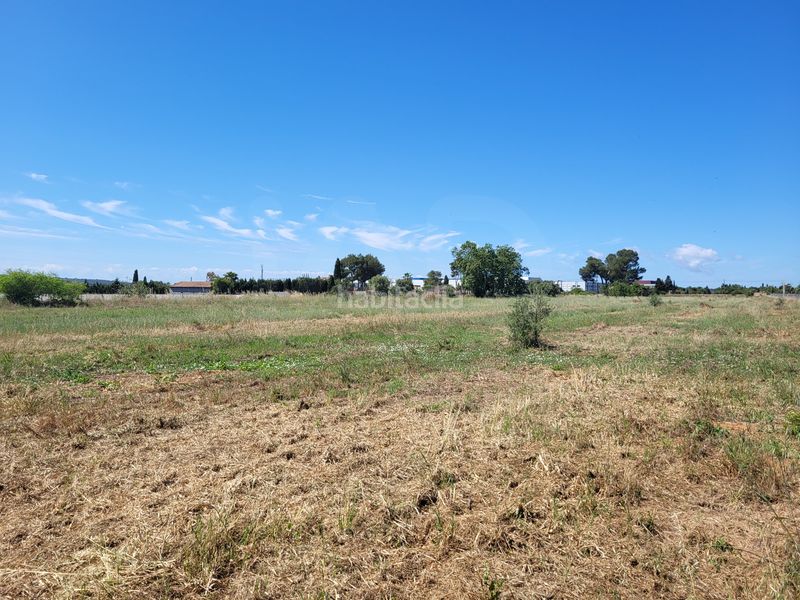 Foto 45e1f98f-c478-4a9e-958b-95a620b20e8d. Finca rústica a Santa María del Camí