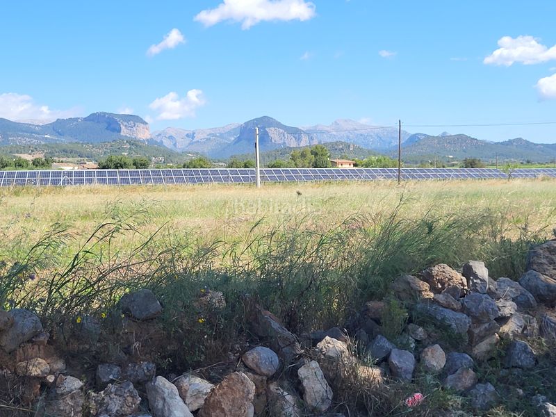 Foto 4fd7e9e4-5991-46f7-a4d3-252e2e250dc0. Finca rústica a Santa María del Camí