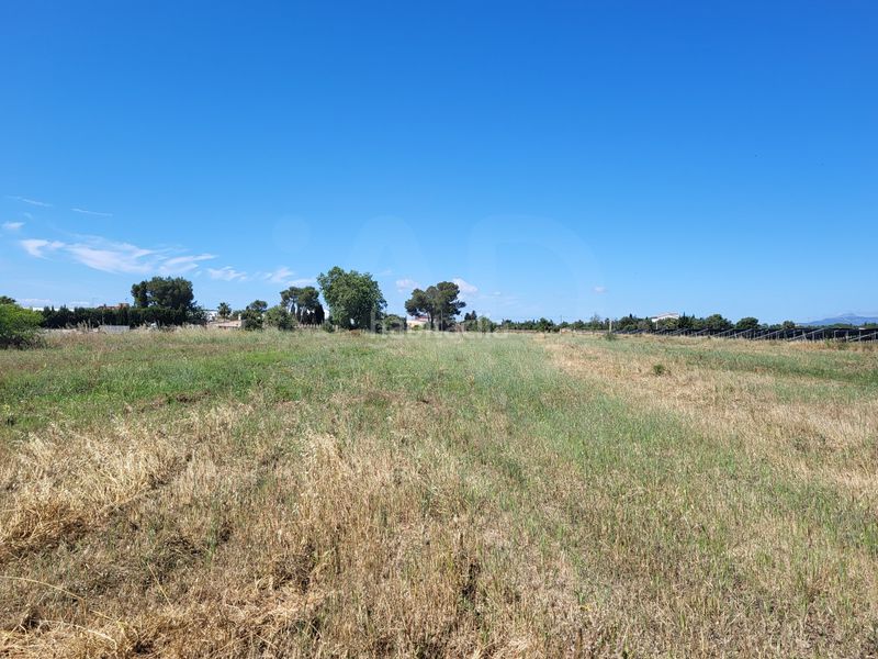 Foto 5ba18e74-4251-4fb4-9c5b-01f65fec8d1b. Finca rústica a Santa María del Camí