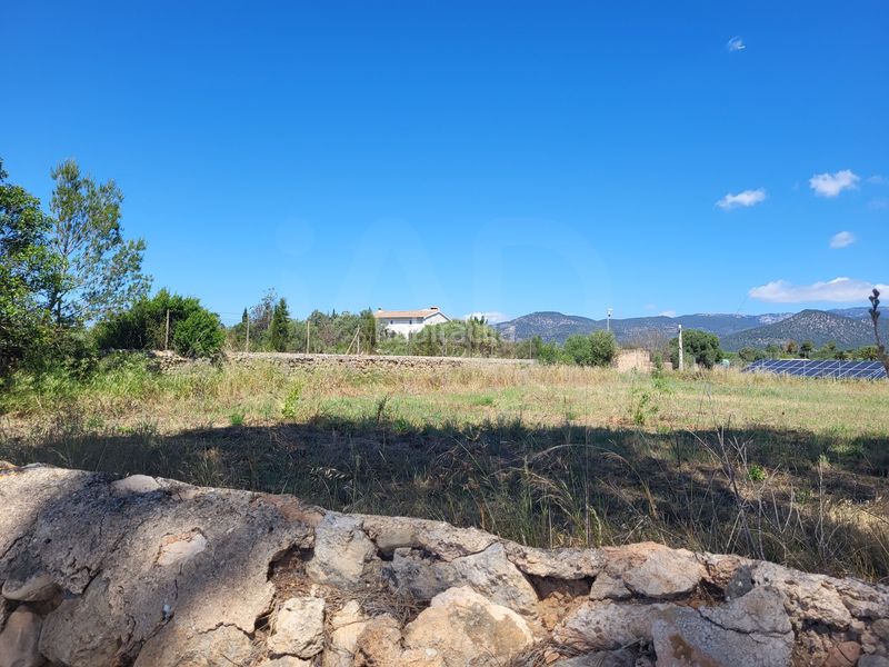 Foto 6e926dd9-51e7-4273-8471-c8bd32defd00. Finca rústica a Santa María del Camí